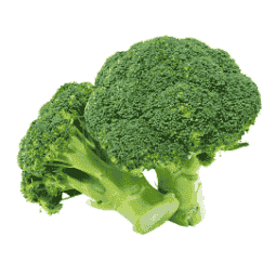 Fresh Organic Broccoli – Nutritious, Crisp & Fresh Green